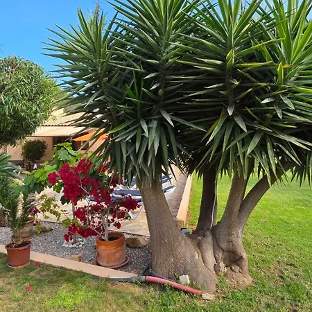 Casa La Siesta- Ruhiges In Cala Ratjada, 300 M Vom Son Moll Entfernt * Кала Ратьяда